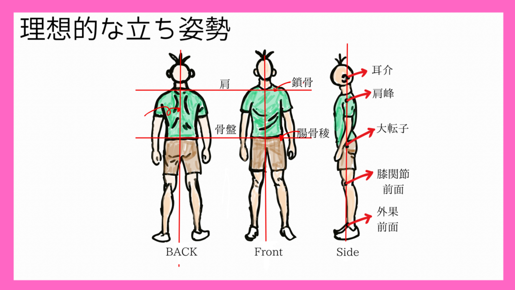 姿勢の画像
家トレ　おすすめ自主トレ