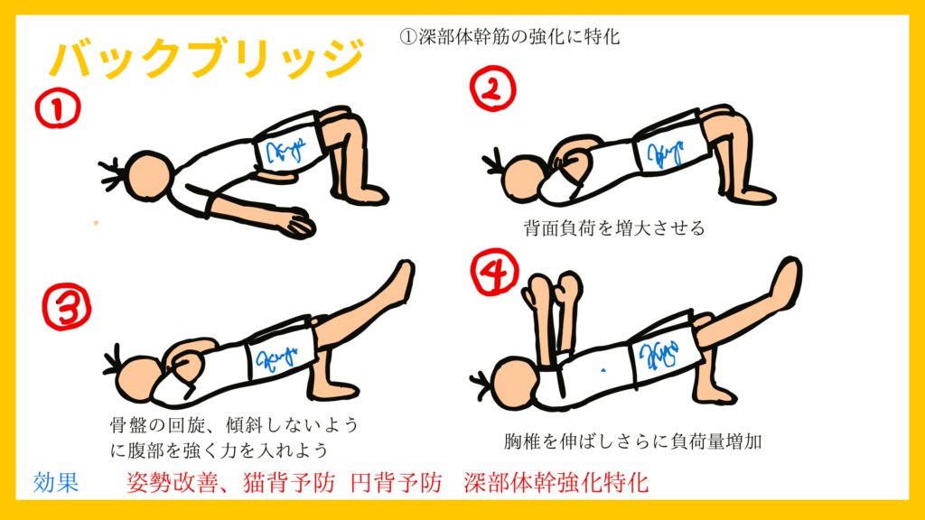 ブリッジする運動の画像